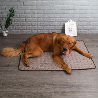 Dog Cooling Mat